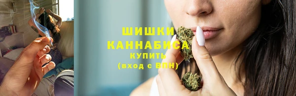 крисы Белоозёрский