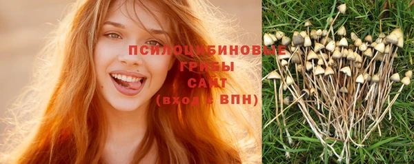 крисы Белоозёрский