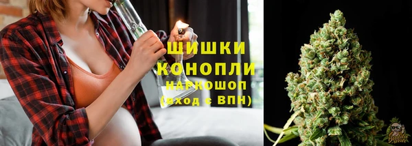 кокс Белокуриха