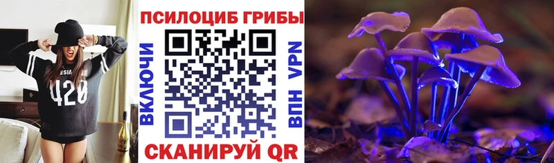 Псилоцибиновые грибы Psilocybe  Купить где  Данков 